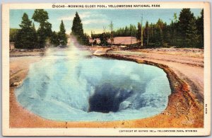 Yellowstone National Park Wyoming, 1940 Morning Glory Pool Pure Water Postcard