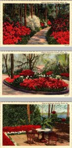 3~ca1940's Linen Postcards MOBILE AL Alabama BELLINGRATH GARDENS Flowers & Patio