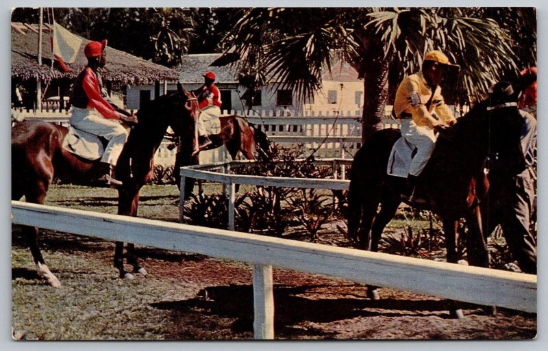 Hobby Horse Hall Nassau Bahamas Animals Horse Racing Palms Vintage UNP Postcard 