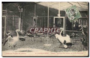 Old Postcard Cochinchine Saigon Interior of aviaries in Indochina botanical g...