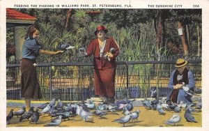 Feeding the Pigeons in Williams Park St Petersburg, Florida  