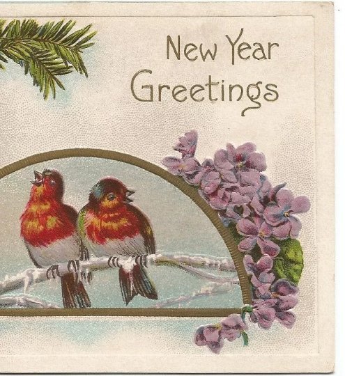 Red Breasted Snow Birds Swallow/Grosbeak on Ice Covered Branch New Year Greeting