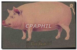 Postcard Old Pig Pig Lucky charm