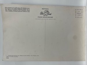 California Indian Missions Oversize Postcard