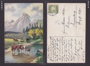 GERMANY, Vintage postcard, Cows at the river, Posted