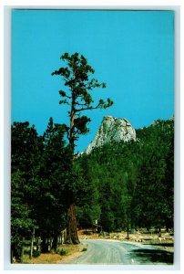 Greetings From Idyllwild California CA Lily Rock Tahquitz Peak Postcard