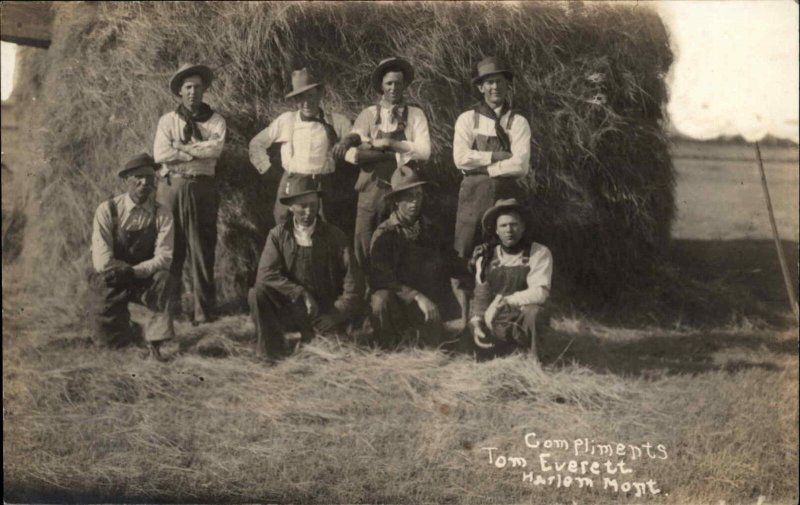 Harlem Montana MT Farmers/Cowboys Hay Stack Real Photo c1910 Postcard