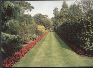 Dorset Postcard - Knoll Gardens of Wimborne   LC4795