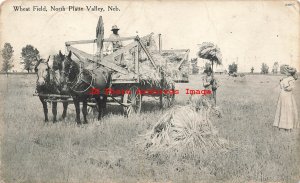 NE, North Platte Valley, Nebraska, Wheat Field, Farming, Atteberry Bros Pub