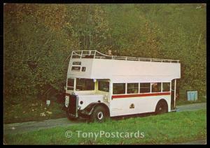 Ivory Double -Deck Open Top Bus FTR 514