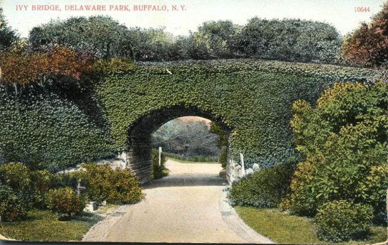 Buffalo NY, New York - Ivy Bridge at Delaware Park - pm 1909 - DB