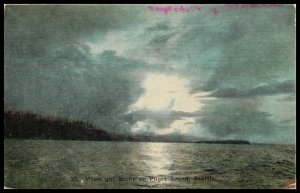 Moonlight Scene on Puget Sound, Seattle, WA