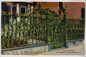 Corn Fence, New Orleans LA   (tape marks)