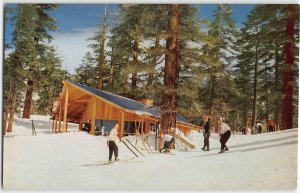 Nevada LAKE TAHOE California HEAVENLY VALLEY Skiing 1950s Vintage Postcard