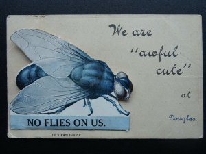 Isle of Man DOUGLAS - NO FLIES ON US 12 Image Novelty Pull-Out - Old Postcard