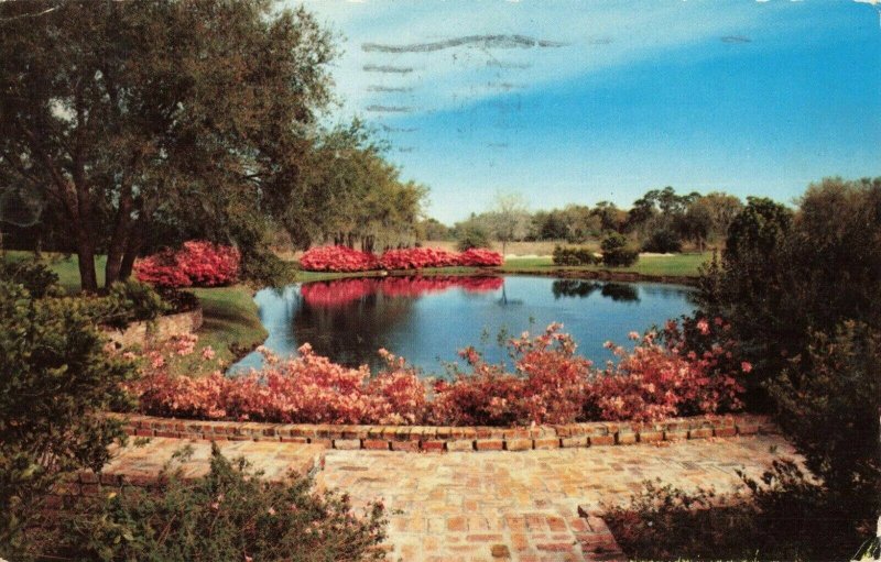 Postcard Sylvan Abbey Between Clearwater and Safety Harbor Florida 