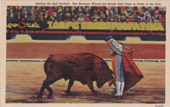 Mexico Bull Fight Getting The Bull Excited 1956 Curteich