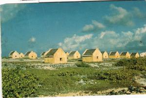 CPM AK Shelter for slaves working the salt pans BONAIRE (660289)