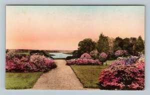 Middleton Garden Ruins View Colored Charleston South Carolina Albertype Postcard 