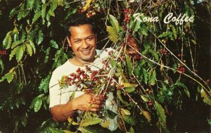 Postcard Coffee Berries Kona Hawaii