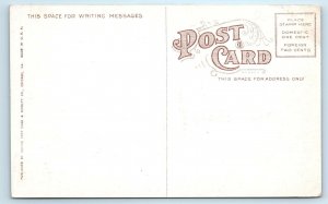 CHICAGO, IL Illinois Riverview Exposition ROLLER COASTER  c1910s Postcard