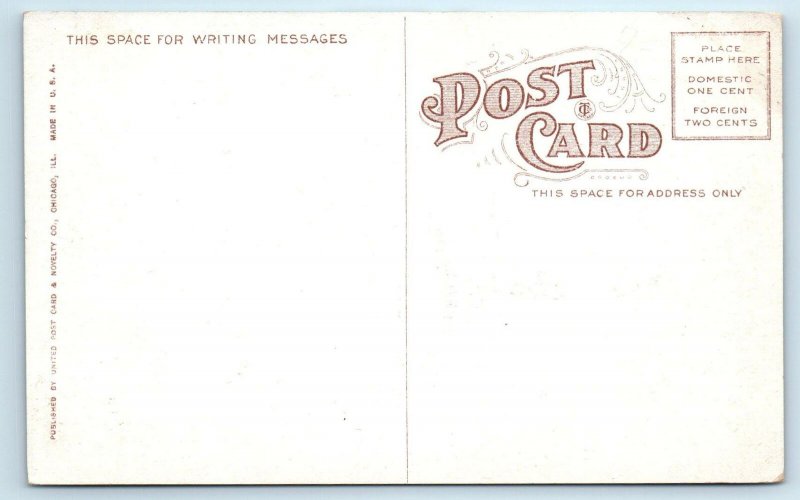 CHICAGO, IL Illinois Riverview Exposition ROLLER COASTER  c1910s Postcard