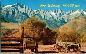 Mount Whitney 14,495 Feet Highest Peak in the US California Postcard