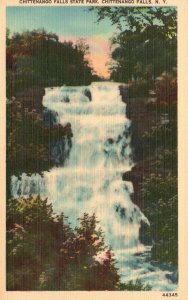 Vintage Postcard Chittenango Falls State Park Beauty Spots Chittenango New York