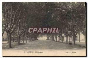 Old Postcard LODEVE Esplanade