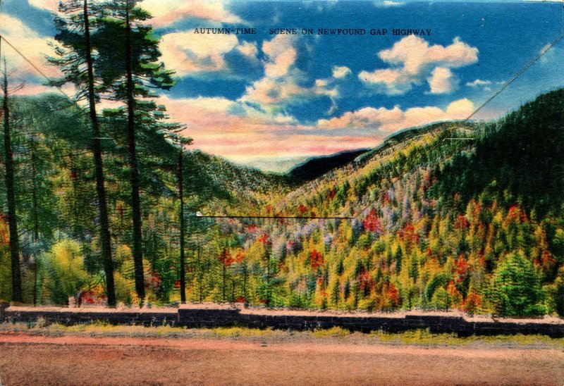 Folder - Great Smoky Mountains Nat'l Park        18 views + narrative