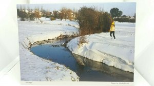 Vintage Postcard Countryside Scene in Winter Havering Atte Bower Essex 1980s