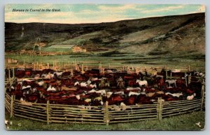 1912  Horses in Corral in the West  South Dakota Cancel  Postcard