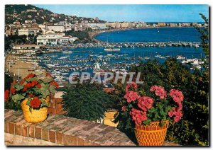 Modern Postcard The French Riviera Cannes Le Port and La Croisette