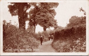 Lovers Lane near Bexley Heath Kent England UK c1916 Litho Postcard H39