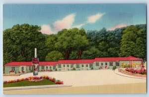 Asheville North Carolina NC Postcard Tunnel Tourist Court c1940 Vintage Antique