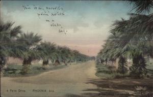 Phoenix AZ A Palm Drive c1910 Postcard