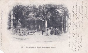 Saigon Vietnam Indo China Entrance Jardin Antique Postcard