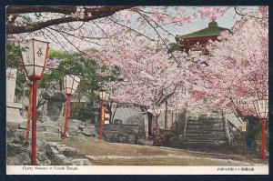 Cherry Blossoms at Linchi Temple unused c1940's