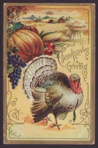 Thanksgiving Greetings,Turkey Postcard BIN 