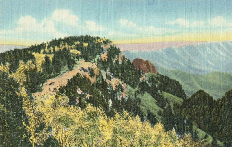 Postcard Sandia Mountains New Mexico