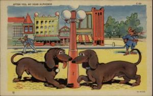 Dachshund Dogs Light Pole Street Scene Comic Postcard