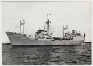 Shipping; Dutch Merchant Ship Domburgh RP PPC Unused, c 50s, Sunk As Reef 1983