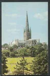 Norfolk Postcard - Norwich Cathedral From The South-East   T3901