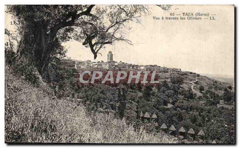 Old Postcard Taza Morocco View through the olive trees