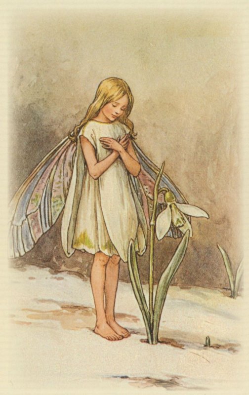 Snowdrop Fairy Of Antique Fairies Book Stunning Postcard