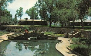 ROSWELL, NM New Mexico  SUNKEN GARDENS, POND & BRIDGE~Cahoon Park  Postcard