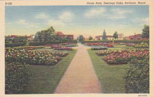 Maine Portland Circle Park Deerings Oaks