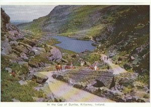 Ireland Postcard - The Gap of Dunloe - Killarney - Ref TZ8390