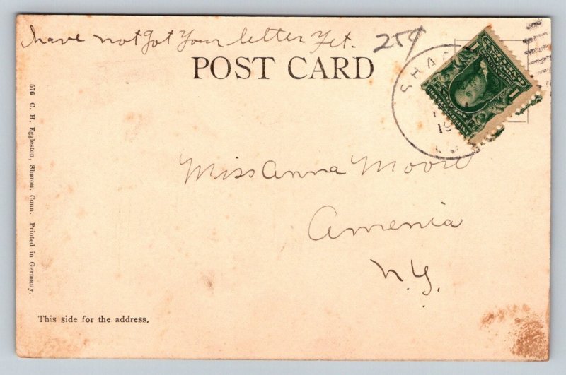 1908  The Taghkanic    Sharon  Connecticut    Postcard