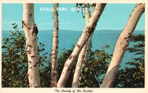 Eagle Park Grocery, The Beauty of The Birches, Beach View, Vintage Postcard